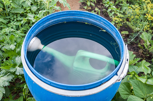 water in a barrel on garden