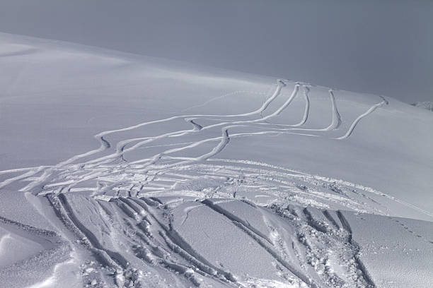 istock Off-piste slope in fog 469800056