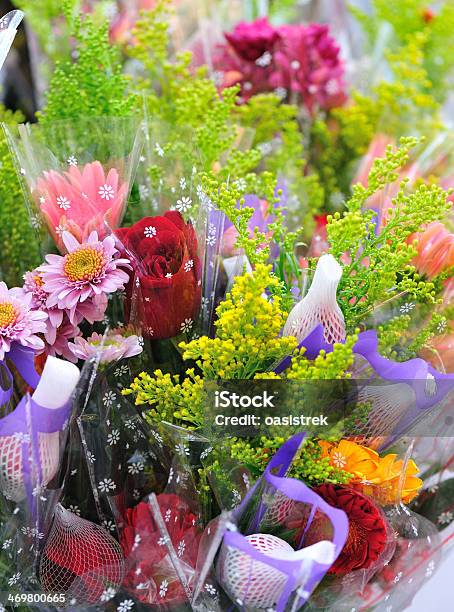 Bellissimi Fiori - Fotografie stock e altre immagini di Affettuoso - Affettuoso, Aiuola, Ambientazione esterna