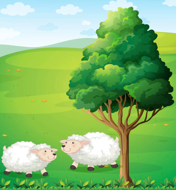 zwei sheeps nahe dem weihnachtsbaum - grass branch wealth forest stock-grafiken, -clipart, -cartoons und -symbole