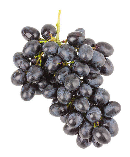 istock branch of grapes on a white background 469803421