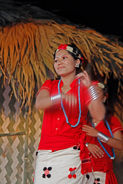 nyishi tribes, 걸스 수행 댄스 - menfolk 뉴스 사진 이미지