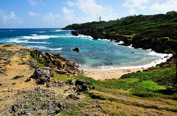 istock Rocky Coastal at Bottom Bay 469809615