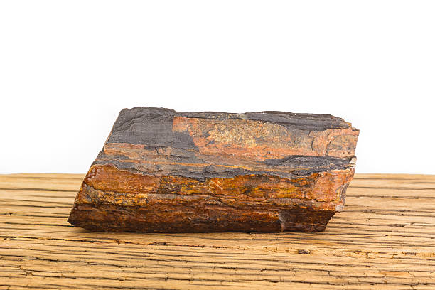 istock Brown petrified wood oak surface white background. 469810142