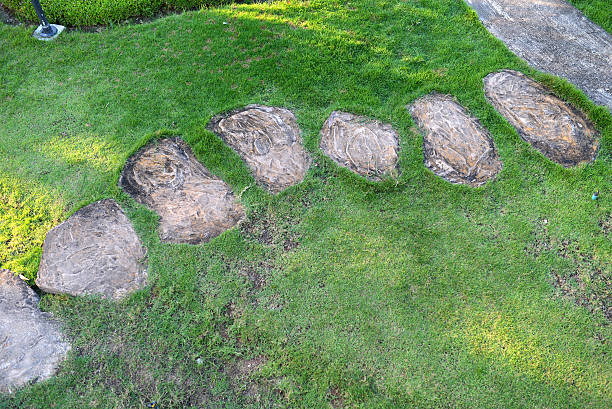 istock walkway in the garden 469810823