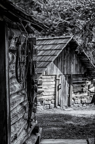 istock Cabin in the Woods 469815319