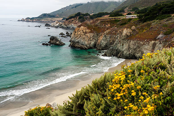 istock California beach along Pacific coast highway 469815583