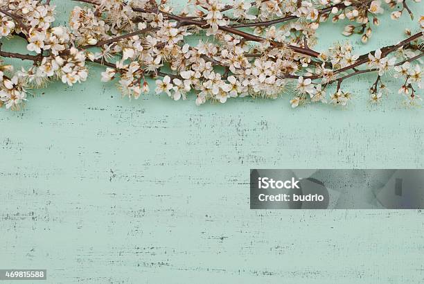 Clubs Stock Photo - Download Image Now - 2015, Backgrounds, Blossom