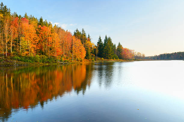 鮮やかな色で秋の木に映る湖 - landscape usa vibrant color riverbank ストックフォトと画像