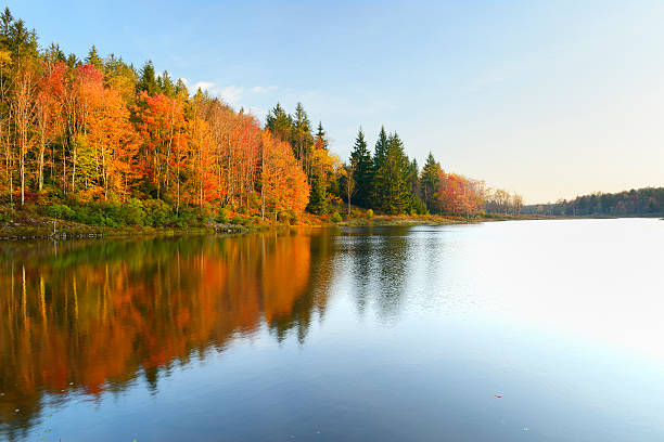 istock Vivid Colors of Fall Trees Reflecting in Lake 469815760