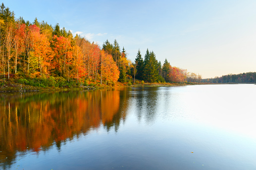 Colorful autumn trees surrounding lake at Blackwater State Park, West Virginia.