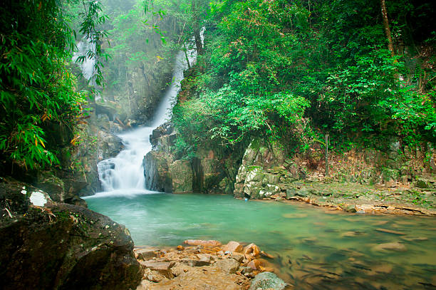 istock Waterfall in national park , Chanthaburi , thailand 469816109