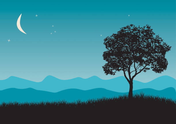ilustraciones, imágenes clip art, dibujos animados e iconos de stock de árbol en la noche escena - tree silhouette meadow horizon over land
