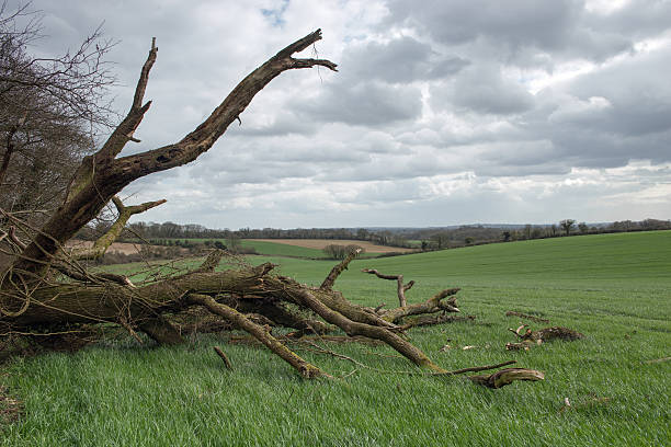 istock Country Storm Damage 469819380