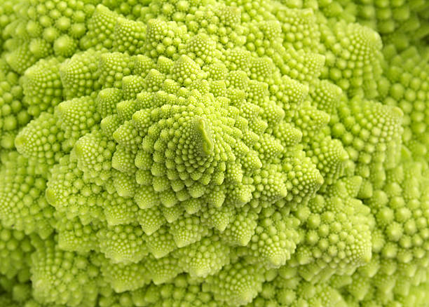 roman broccoli detail of texture of a roman broccoli fractal plant cabbage textured stock pictures, royalty-free photos & images