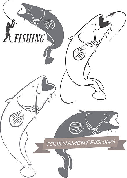 catfish the figure shows the fish catfish sheatfish stock illustrations