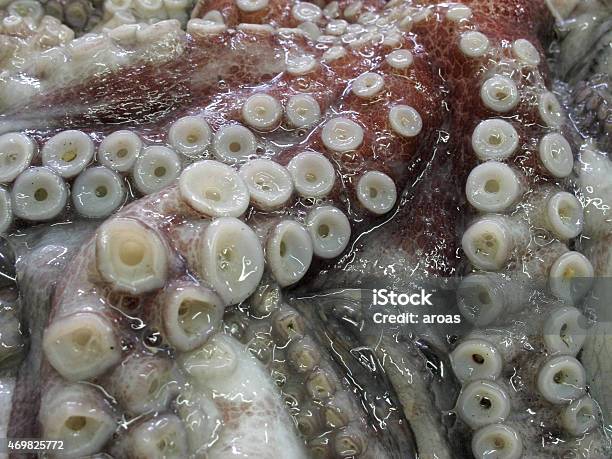 Raw And Fresh Octopus Tentacles Photographed On Ice Stock Photo - Download Image Now