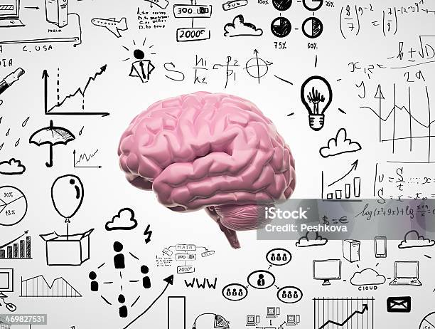 Brain With Drawings Around It Stock Photo - Download Image Now - Abstract, Analyzing, Anatomy