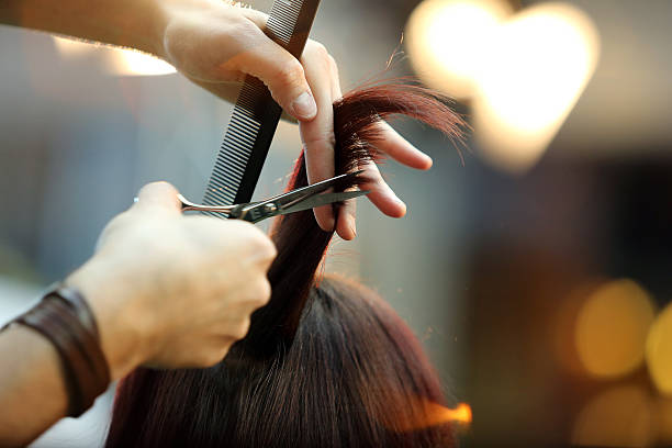 barber corte de cabello - hair care combing women human hair fotografías e imágenes de stock