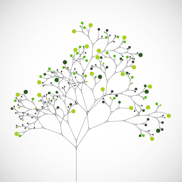Oliver Tree Abstract 4,600+ Olive Tree Abstract Stock Photos, Pictures & Royalty-Free Images ...