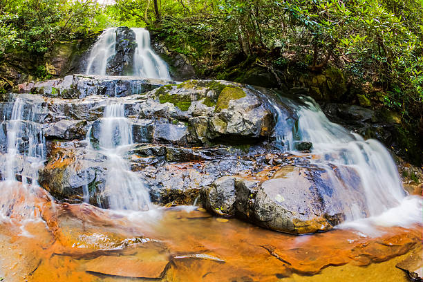 laurel 滝 - waterfall great smoky mountains great smoky mountains national park tennessee ストックフォトと画像