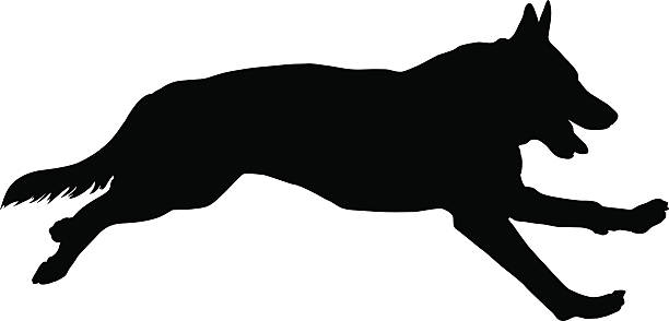 German Shepherd Silhouette vector and jpg. animal toe stock illustrations
