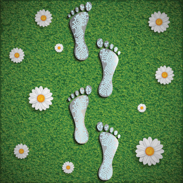istock Footprint with a chip on the surface of the grass. 469836642