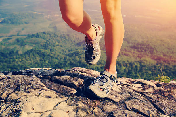 istock hiking woman legs climbing on mountain peak 469836660