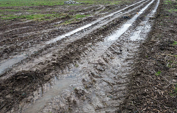 istock Tire tracks in muddy soil 469837856