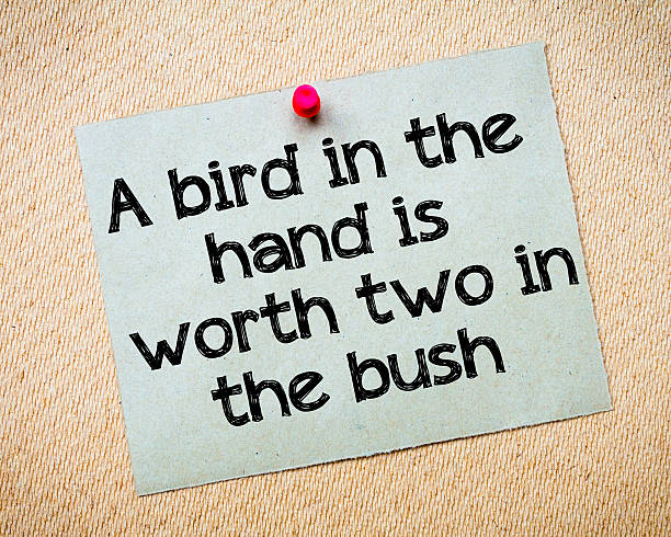 istock Bird in hand is worth two from the bush 469837892