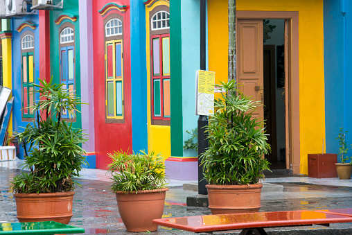 empty street with traditional colorful buildings in famous Little India district in Singapore with focus on home plants