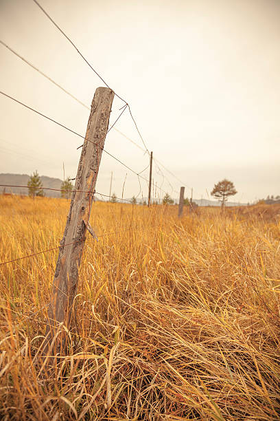 istock Wood Fence 469839578