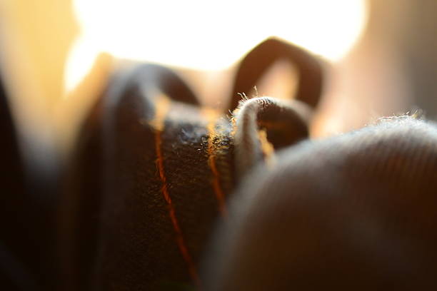 Macro of Jean