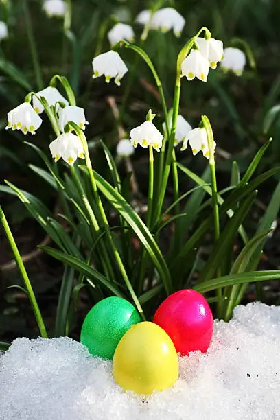 Easter egg meadow snowdrop snowflake outside in the meadow