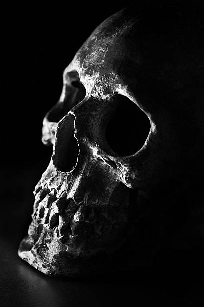 istock Close up of cracked and damaged human skull 469841849