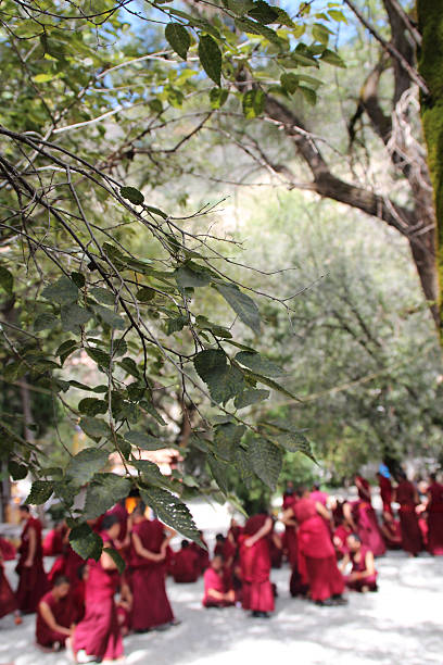 istock Monks Debating in Sera Monastry, Lhasa, Tibet 469855078