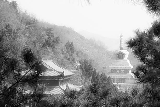 istock stupa in a temple, China 469857866