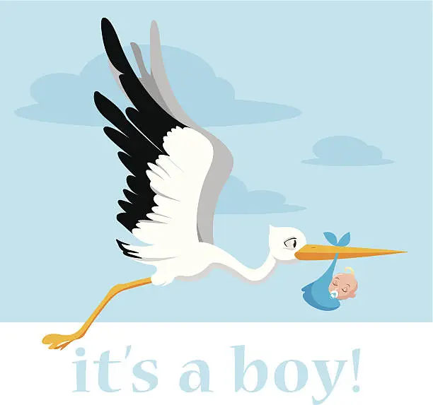 Vector illustration of stork delivering a baby boy