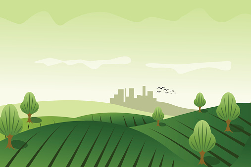 Green field meadow background vector illustration.