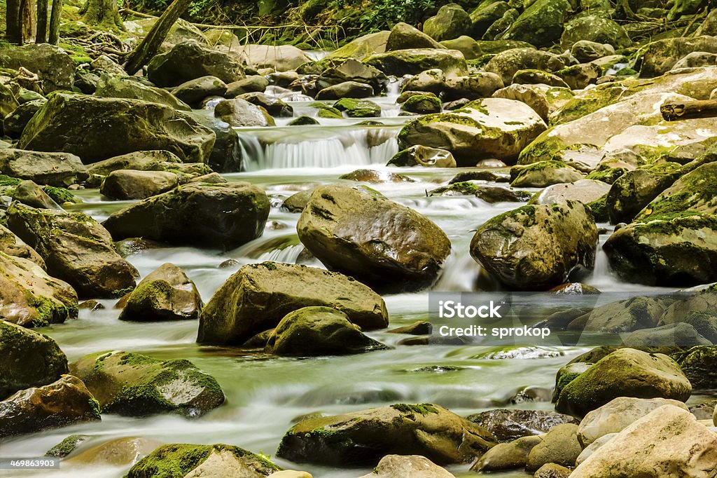 Rzeka przez las i omszałej Otoczak - Zbiór zdjęć royalty-free (Appalachy)