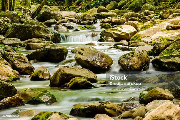Rio Da Floresta E Eram Boulder - Fotografias de stock e mais imagens de Ao Ar Livre - Ao Ar Livre, Appalachia, Cascata