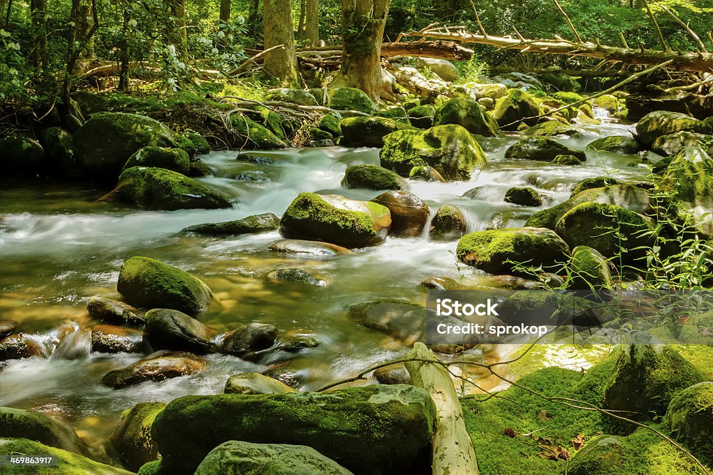 River durch den Wald und feuchtmoosigen Felsen - Lizenzfrei Abgeschiedenheit Stock-Foto