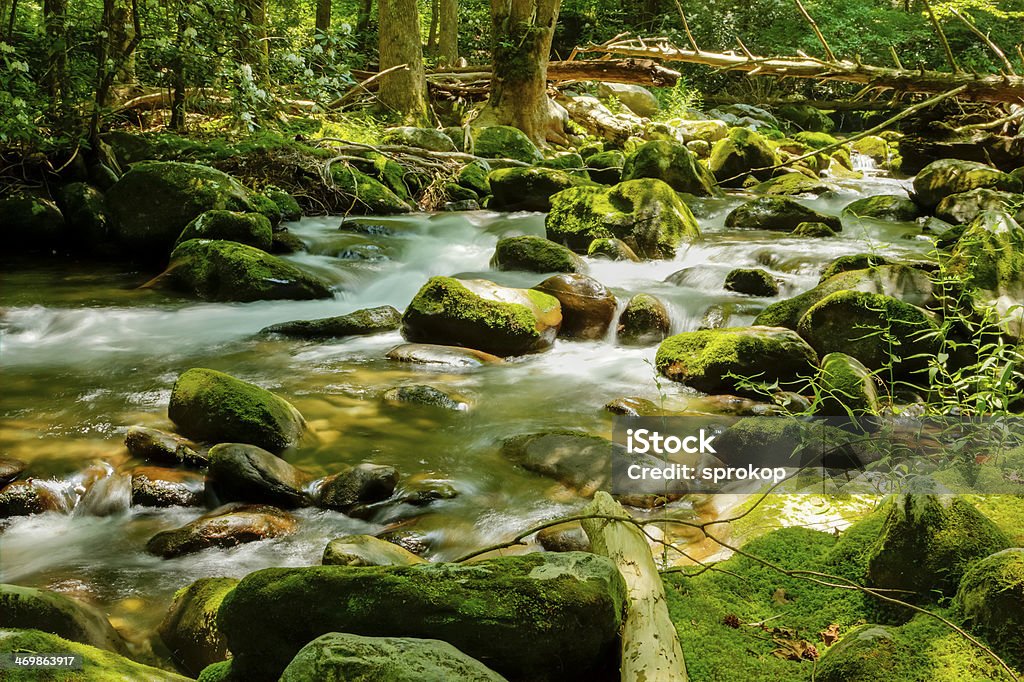 Rio até a floresta e gosto Boulders - Foto de stock de Appalachia royalty-free