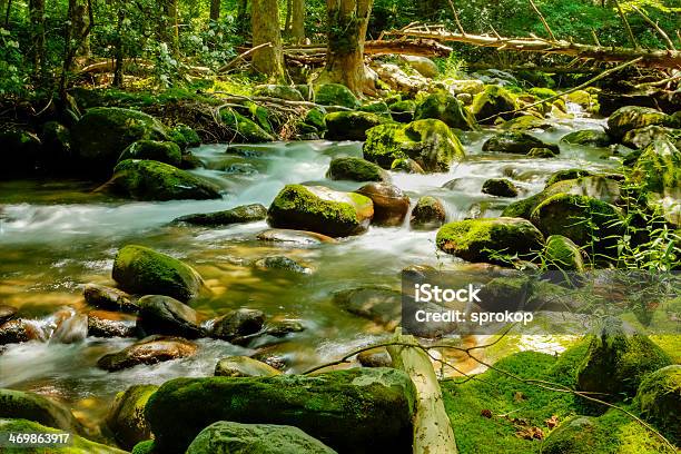 Foto de Rio Até A Floresta E Gosto Boulders e mais fotos de stock de Appalachia - Appalachia, Bosque - Floresta, Cascata