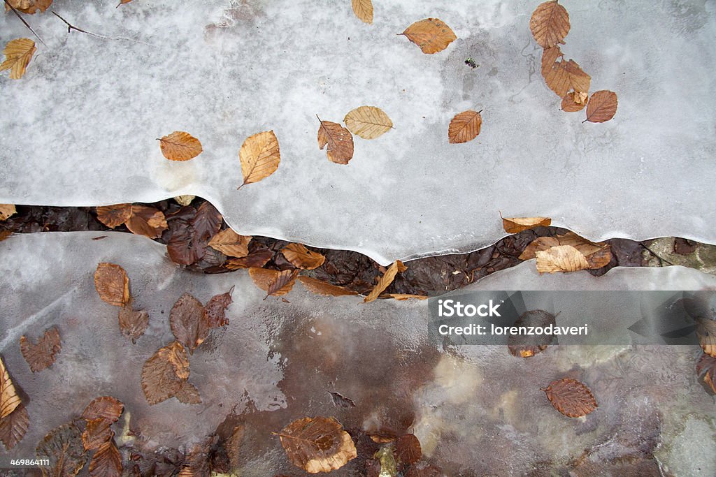Ice crack on the ground Cracked ice on the ground with brown leaves over it Autumn Stock Photo