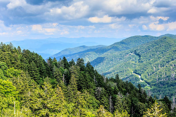 istock Natural Landscape of the Great Smoky Mountains 469864355