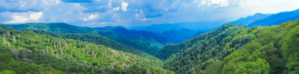 paysage naturel des great smoky mountains - great smoky mountains great smoky mountains national park mountain smoke photos et images de collection