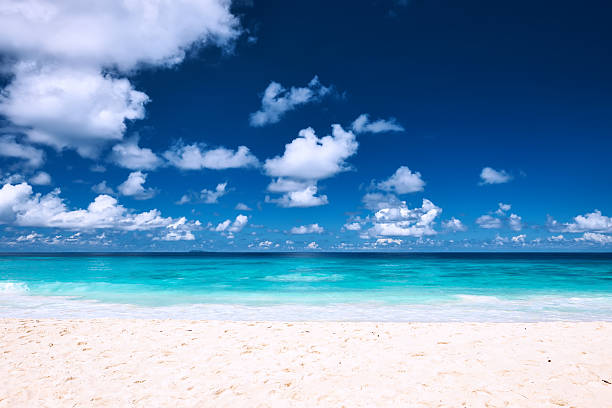 istock Beautiful beach at Seychelles 469869422