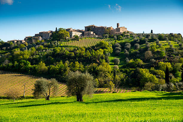 Natural landscape in Cortona. Tuscany. Italy. Europe. Natural landscape in Cortona. Tuscany. Italy. Europe. cortona stock pictures, royalty-free photos & images