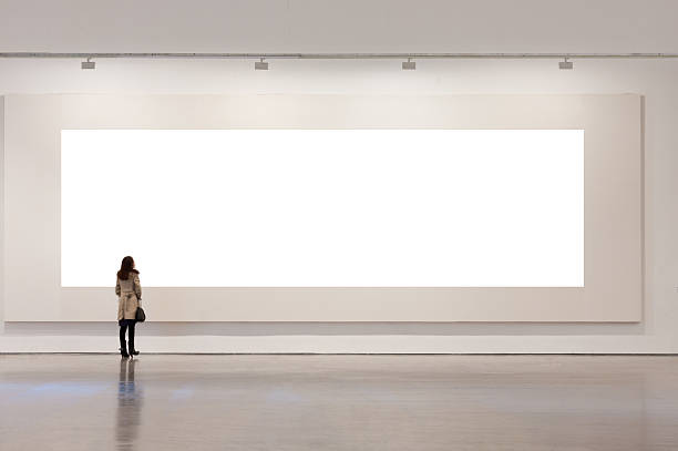 one woman looking at white frame in an art gallery - museum wall stockfoto's en -beelden